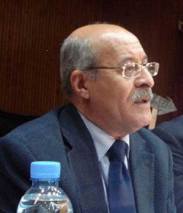 الدكتور فاضل الربيعي- الباحث في الشؤون الإقليمية الدكتور فاضل الربيعي- الباحث في الشؤون الإقليمية - سبوتنيك عربي