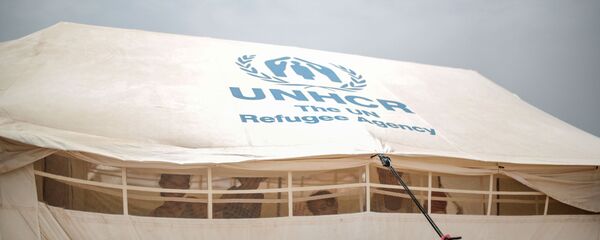 اللاجئون اليمنيون - سبوتنيك عربي