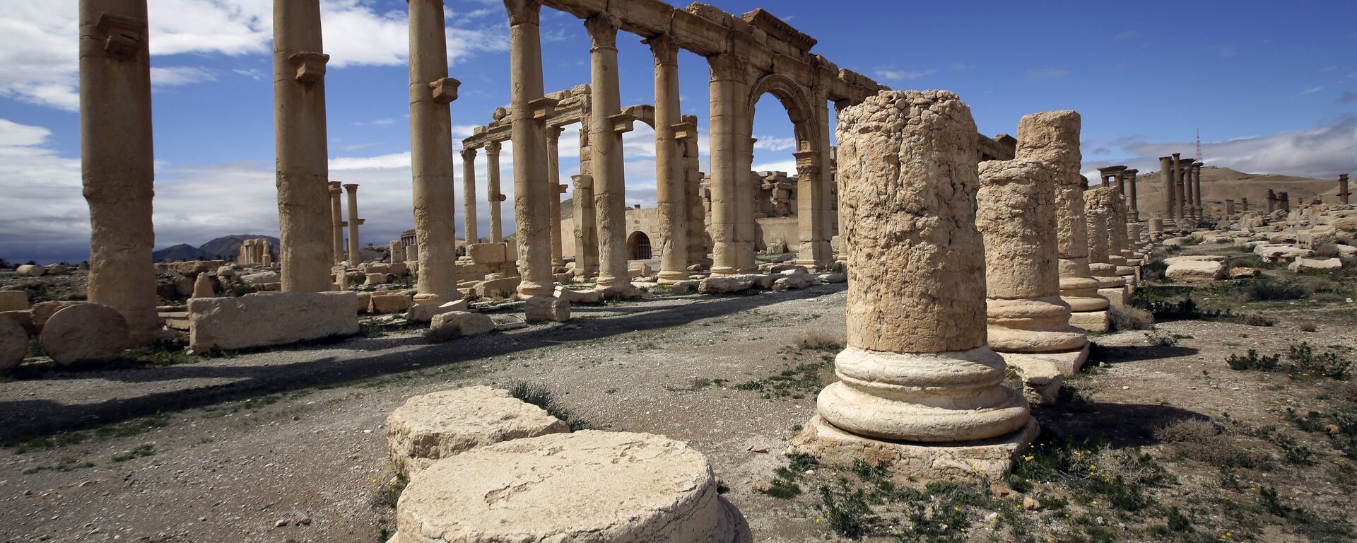 مدينة تدمر فى سوريا - سبوتنيك عربي, 1920, 24.05.2015