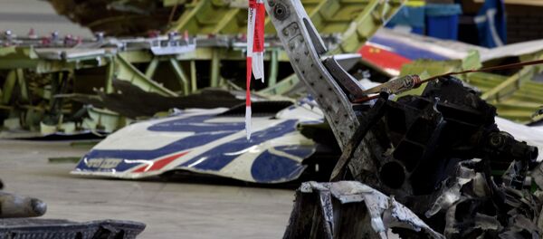 الطائرة الماليزية - سبوتنيك عربي