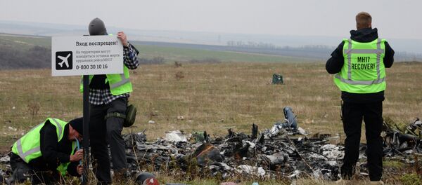 مكان تحطم الطائرة الماليزية MH17 - سبوتنيك عربي