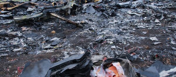 مكان سقوط حطام الطائرة الماليزية - سبوتنيك عربي