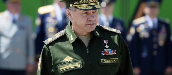 وزير الدفاع الروسي سيرغي شويغو - سبوتنيك عربي