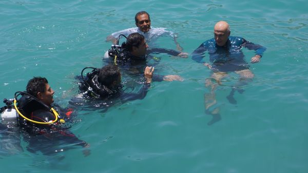 غطس في الغردقة - سبوتنيك عربي