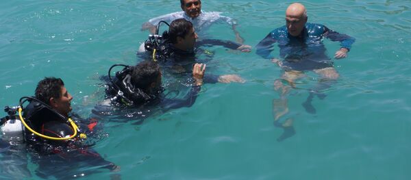 غطس في الغردقة - سبوتنيك عربي