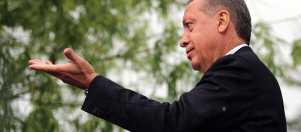 الرئيس التركي رجب طيب أردوغان - سبوتنيك عربي