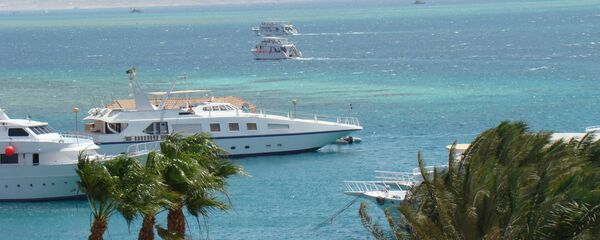 البحر الأحمر - سبوتنيك عربي