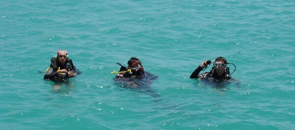 غوص في البحر الاحمر - سبوتنيك عربي