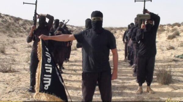 ولاية سيناء - سبوتنيك عربي