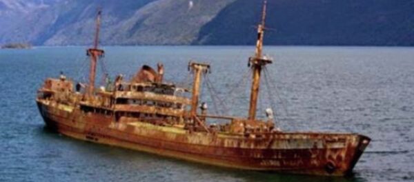 سفينة سفينة - سبوتنيك عربي