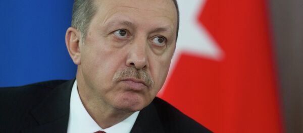 الرئيس التركي رجب طيب أردوغان  - سبوتنيك عربي