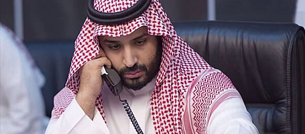 محمد بن سلمان بن عبد العزيز آل سعود - سبوتنيك عربي