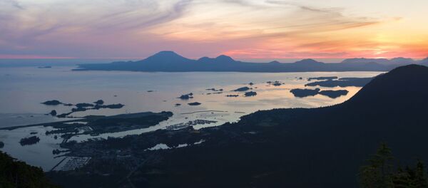 آلاسكا - سبوتنيك عربي