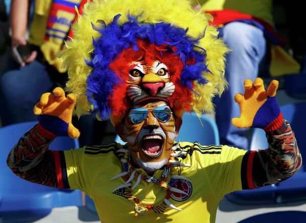 مشجع من كولومبيا  داخل مدرجات ستاد  إيل تنينتي، شيلي،  قبل مباراة فريقه ضد فنزويلا ، 14 يونيو  في الجولة الأولى لكوبا أمريكا 2015 - سبوتنيك عربي