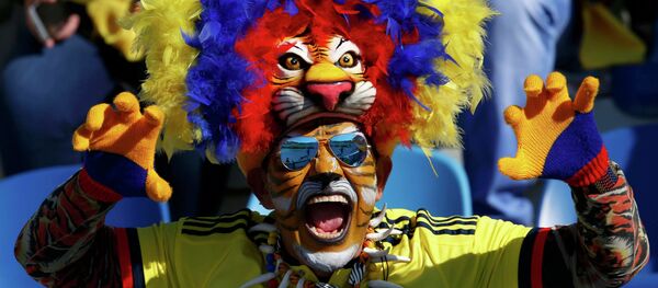 مشجع من كولومبيا  داخل مدرجات ستاد  إيل تنينتي، شيلي،  قبل مباراة فريقه ضد فنزويلا ، 14 يونيو  في الجولة الأولى لكوبا أمريكا 2015 - سبوتنيك عربي