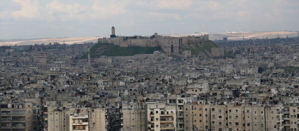 حلب، سورية - سبوتنيك عربي