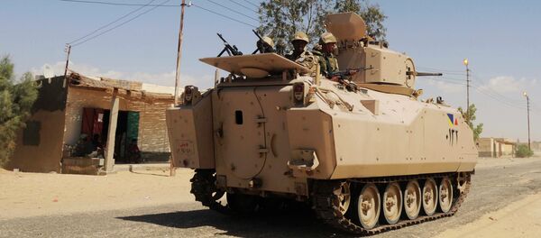 الجيش المصري - سبوتنيك عربي