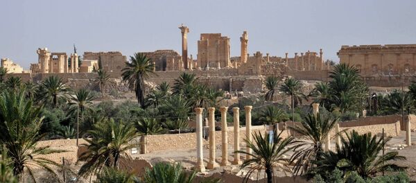 تدمر - سبوتنيك عربي