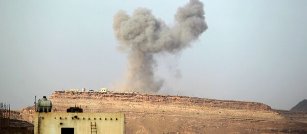 صنعاء - سبوتنيك عربي