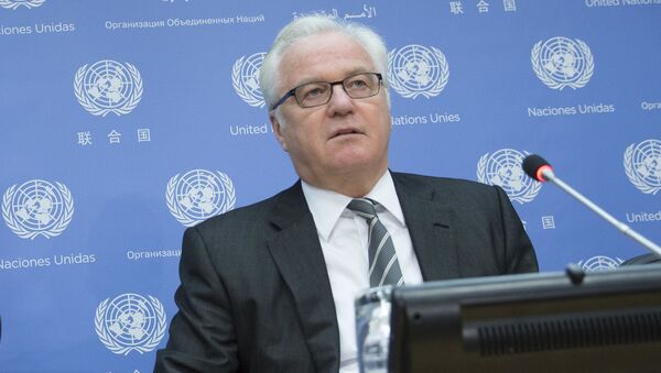 مندوب روسيا الدائم لدى الأمم المتحدة فيتالي تشوركين - سبوتنيك عربي
