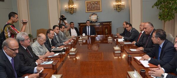 وزارة الخارجية المصرية - سبوتنيك عربي