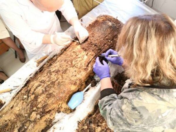 العلماء الروس توصلوا الى الاكتشاف فى منطقة يامالو بأقصى الشمال الروسي  - سبوتنيك عربي