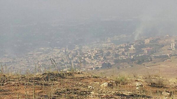 تحرير الزبداني - سبوتنيك عربي