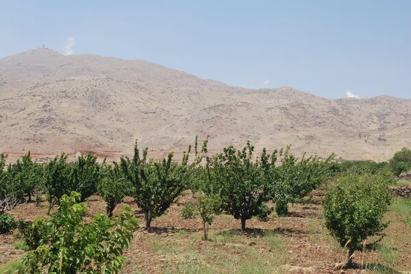 سوريا- القنيطرة- الجولان - سبوتنيك عربي