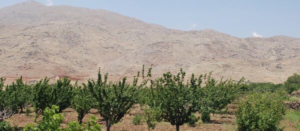 سوريا- القنيطرة- الجولان سوريا- القنيطرة- الجولان - سبوتنيك عربي