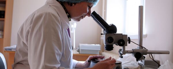 العلماء الروس يطورون علاج جديد لمرض الإيدز العلماء الروس يطورون علاج جديد لمرض الإيدز - سبوتنيك عربي