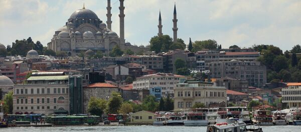 تركيا - سبوتنيك عربي