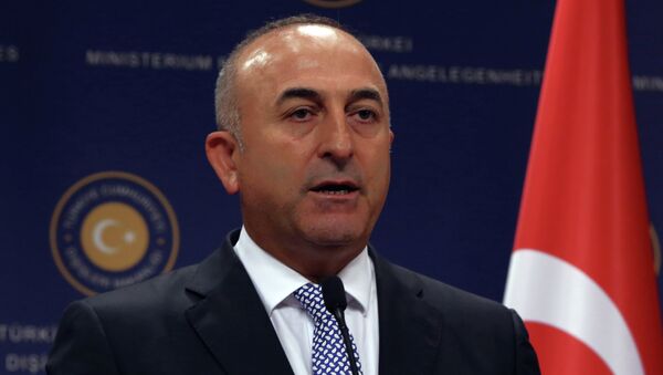 وزير الخارجية التركي - سبوتنيك عربي