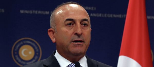 وزير الخارجية التركي - سبوتنيك عربي