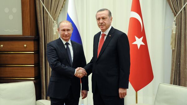 بوتين وأردوغان - سبوتنيك عربي