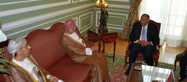 وزيرا خارجية مصر وسلطنة عُمان - سبوتنيك عربي