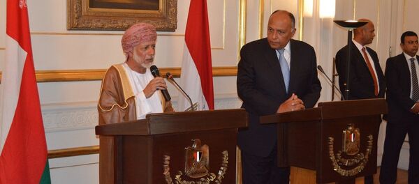 شكري وبن علوي - سبوتنيك عربي