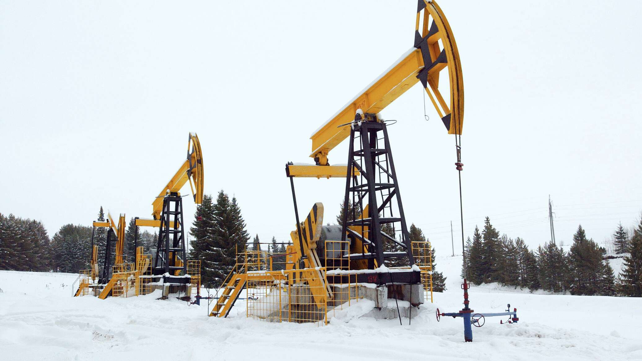 مدير "روسنفط": قيمة الثروات الطبيعية في روسيا تقترب من 100 تريليون دولار وتعادل ضعف ما تملك أمريكا