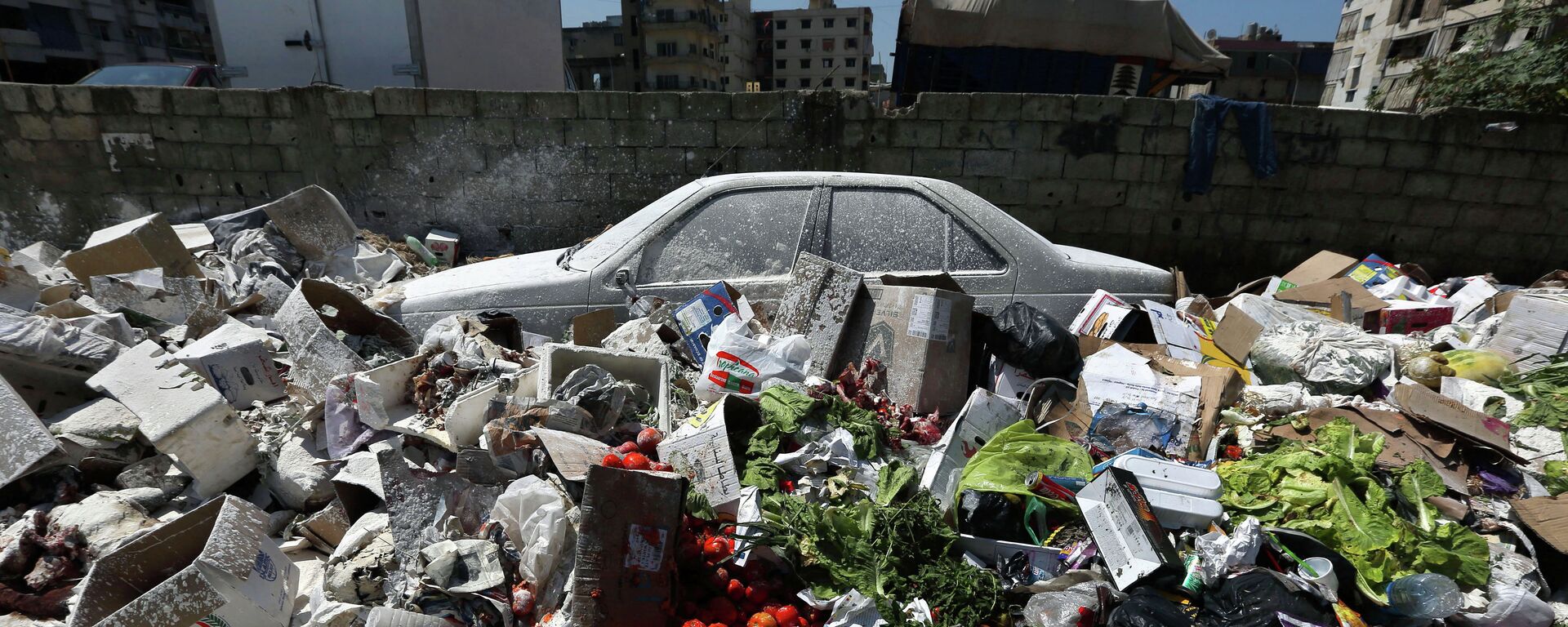 لبنان وأزمة النفايات - سبوتنيك عربي, 1920, 10.09.2018