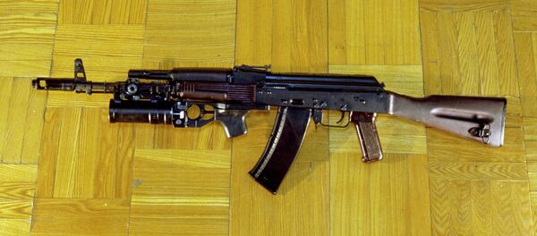 بندقية - سبوتنيك عربي