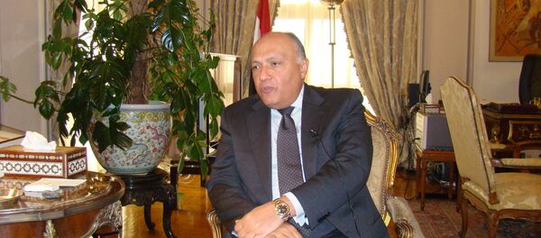 وزير الخارجية المصري سامح شكري - سبوتنيك عربي