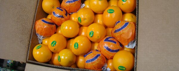 برتقال مصري - سبوتنيك عربي