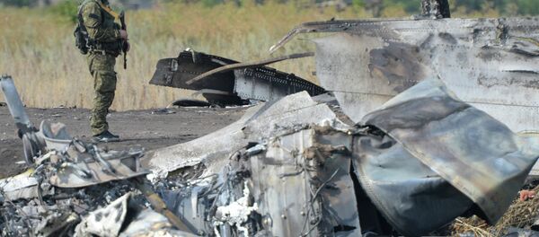 تحطم طائرة - سبوتنيك عربي