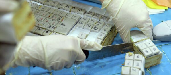 اليوم الدولي بدون الإنترنت في مدينة يكاتيرينبورغ - سبوتنيك عربي