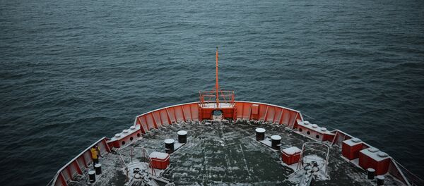 منطقة القطب الشمالي منطقة القطب الشمالي - سبوتنيك عربي