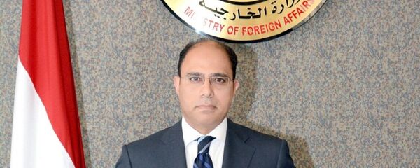 المتحدث الرسمي للخارجية المصرية أحمد أبو زيد المتحدث الرسمي للخارجية المصرية أحمد أبو زيد - سبوتنيك عربي