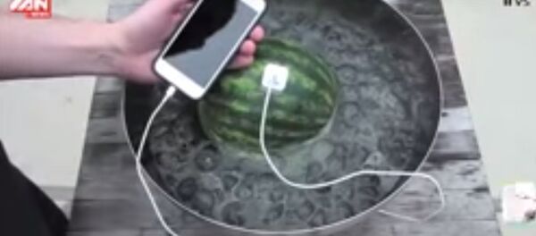 كيف تشحن هاتف آيفون 6 من البطيخ - سبوتنيك عربي