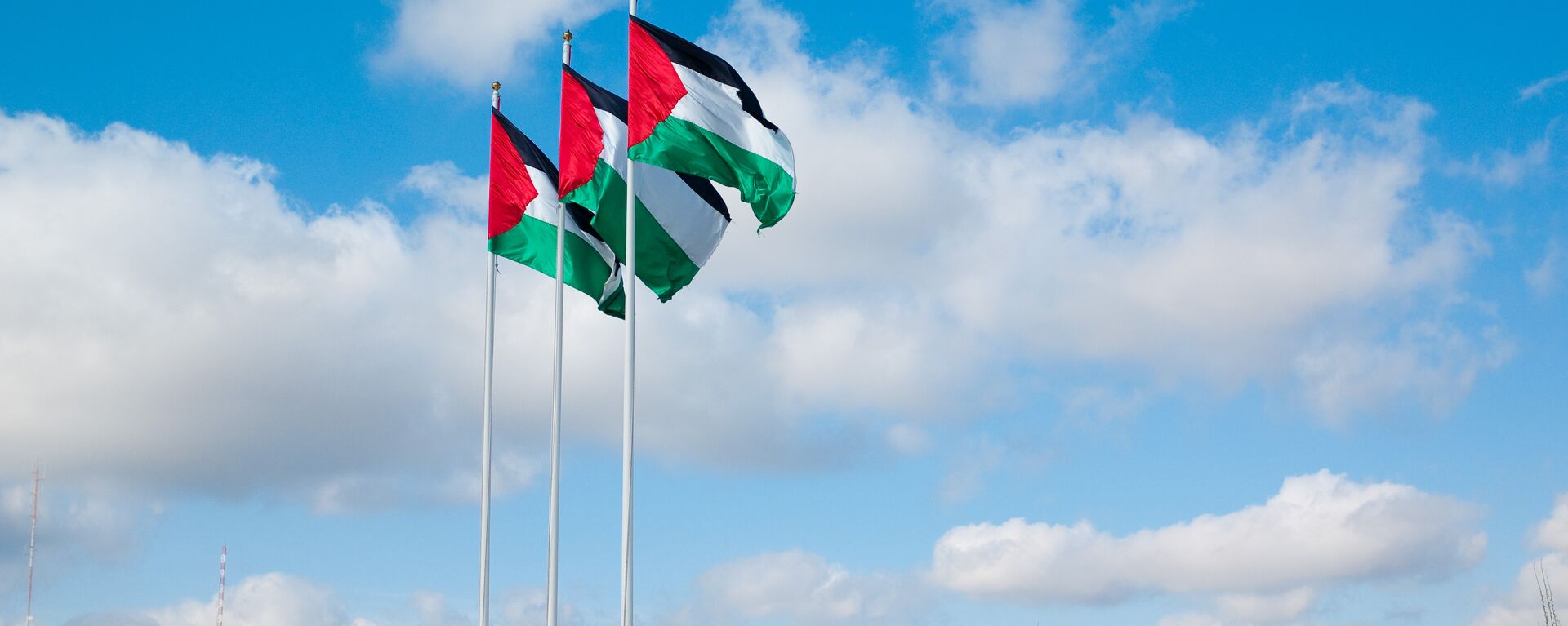 علم فلسطين - سبوتنيك عربي, 1920, 12.02.2023