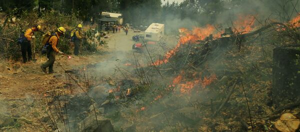 إخماد حرائق الغابات في الولايات المتحدة - سبوتنيك عربي