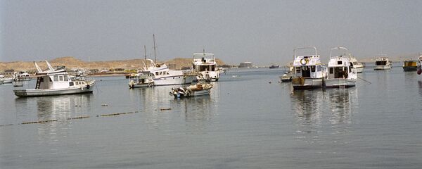 قوارب في البحر الأحمر - سبوتنيك عربي