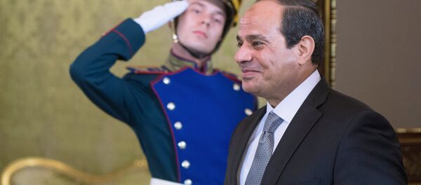 الرئيس المصري عبد الفتاح السيسي - سبوتنيك عربي